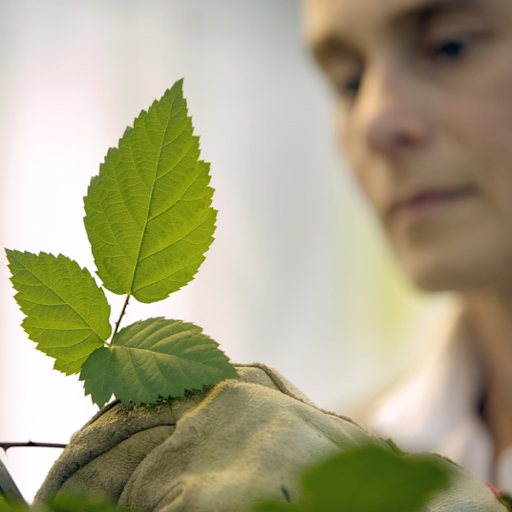 Weed Control Research